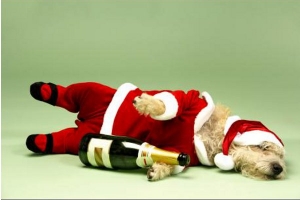 Drink responsibly during festive the season